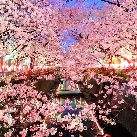 Coto Tokyo Shibuya Apartment Ngoại thất bức ảnh