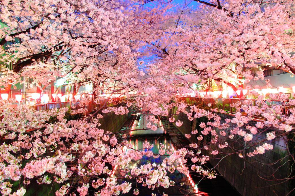Coto Tokyo Shibuya Apartment Ngoại thất bức ảnh