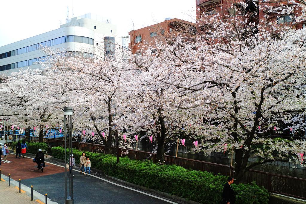 Coto Tokyo Shibuya Apartment Ngoại thất bức ảnh